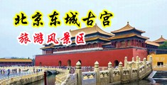 男女捅鸡鸡视频免费中国北京-东城古宫旅游风景区